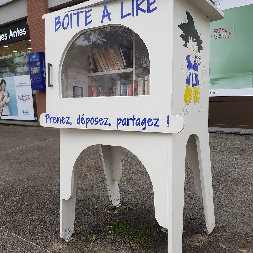 Boîte à livres 1